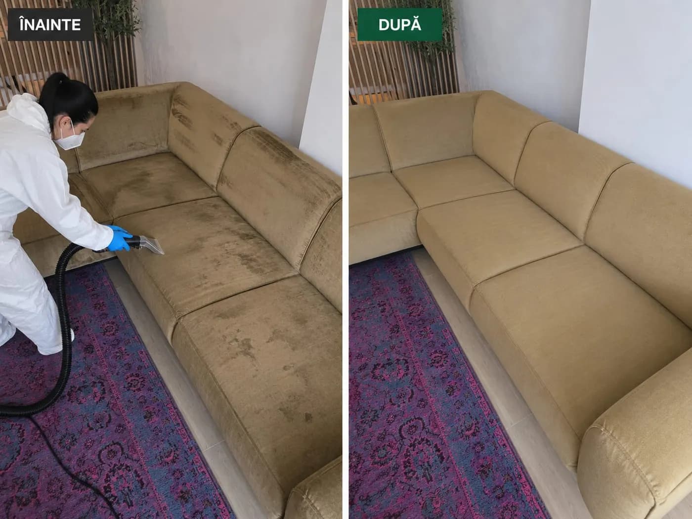 Canapea curățată prin extracție, înainte și după